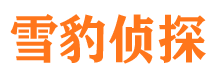 石鼓市私家侦探公司